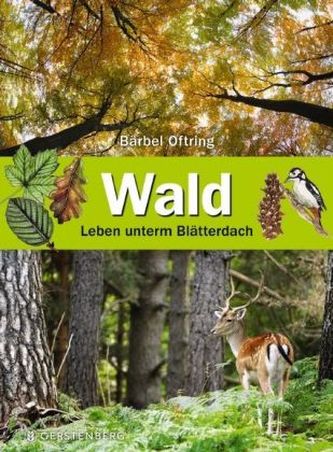 Wald