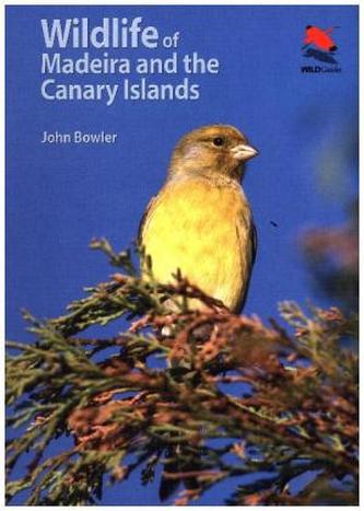Wildlife of Madeira and the Canary Islands Wildlife of Madeira and the Canary Islands