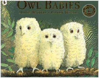 Owl Babies