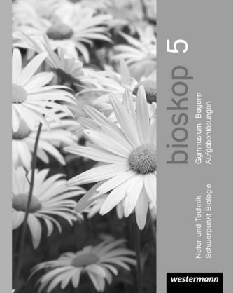 5. Schuljahr, Strukturierungsvorschläge und Lösungen