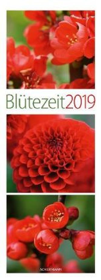 Blütezeit 2019