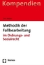 Methodik der Fallbearbeitung