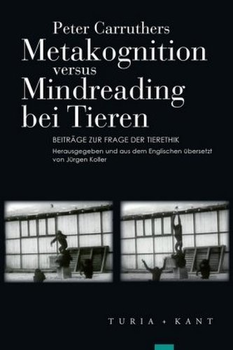 Metakognition versus Mindreading bei Tieren