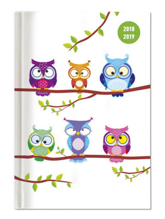 Collegetimer Owls 2018/2019