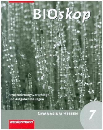 7. Schuljahr, Strukturierungsvorschläge und Lösungen