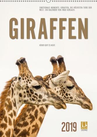 Emotionale Momente: Giraffen, die höchsten Tiere der Welt. (Wandkalender 2019 DIN A2 hoch)