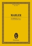 Sinfonie Nr. 3 d-Moll, Studienpartitur