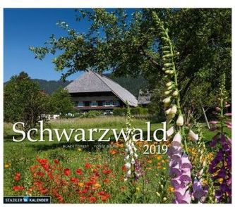 Schwarzwald 2019