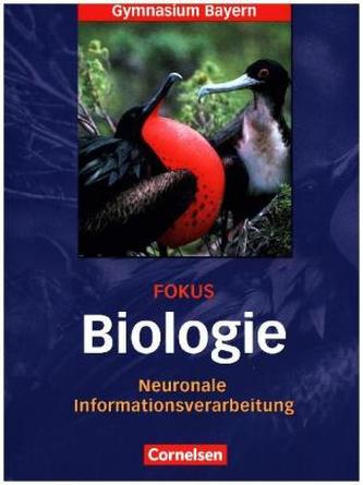 12. Jahrgangsstufe - Neuronale Informationsverarbeitung