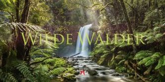 Wilde Wälder 2019