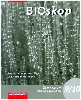 9./10. Schuljahr, Strukturierungsvorschläge und Lösungen