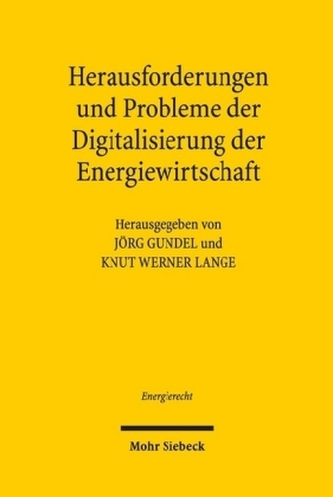 Herausforderungen und Probleme der Digitalisierung der Energiewirtschaft
