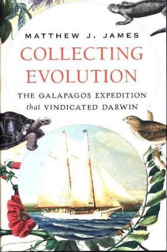 Collecting Evolution