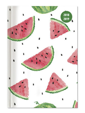 Collegetimer A6 Melon 2018/2019