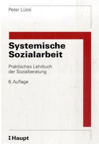 Systemische Sozialarbeit