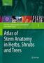Atlas of Stem Anatomy in Herbs, Shrubs and Trees