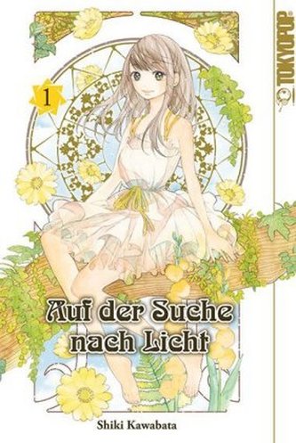 Auf der Suche nach Licht. Bd.1