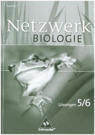 5./6. Schuljahr, Lösungen