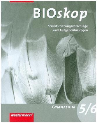 5./6. Schuljahr, Strukturierungsvorschläge und Aufgabenlösungen