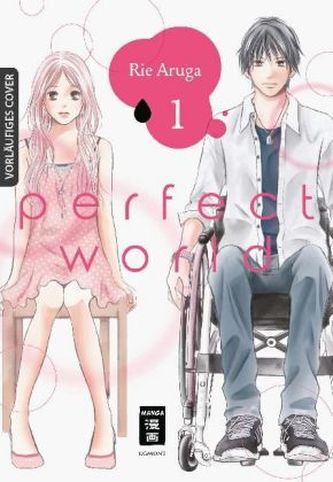 Perfect World. Bd.1