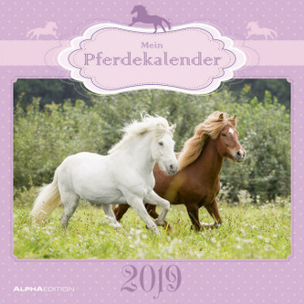 Mein Pferdekalender 2019