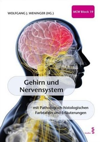Gehirn und Nervensystem