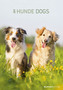 Hunde / Dogs 2019