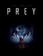 The Art of Prey