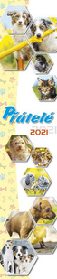 Kalendář 2021 - Přátelé, nástěnný