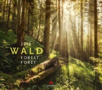 Wald 2019