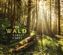 Wald 2019