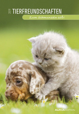 Tierfreundschaften 2019