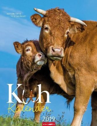Kuh 2019