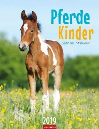 Pferdekinder 2019