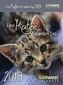Eine Katze für jeden Tag 2019 Tagesabreißkalender