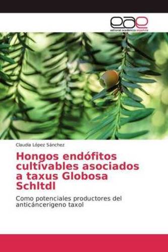 Hongos endófitos cultivables asociados a taxus Globosa Schltdl