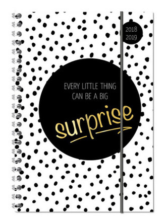 Collegetimer Surprise 2018/2019 - Schülerkalender A5 - Weekly