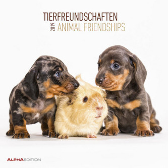 Tierfreundschaften / Animal Friendships 2019