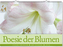 Wandkalender: Poesie der Blumen 2019