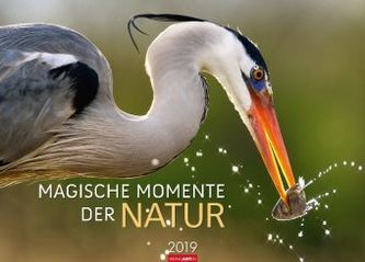 Magische Momente der Natur 2019