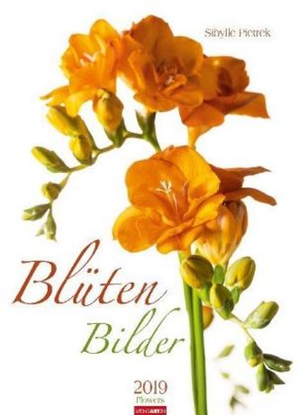 Blütenbilder 2019