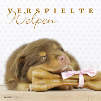 Verspielte Welpen 2019