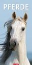 Pferde 2019