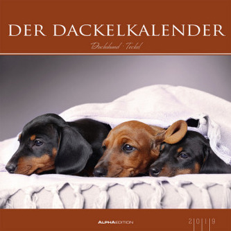 Der Dackelkalender 2019
