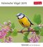 Heimische Vögel 2019