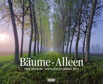 Bäume - Alleen 2019
