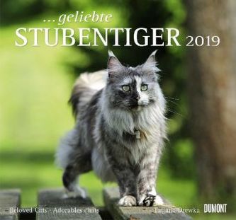 Geliebte Stubentiger 2019