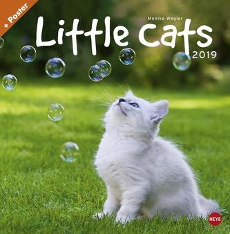 Wegler Little Cats 2019