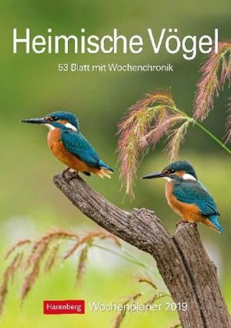 Heimische Vögel 2019