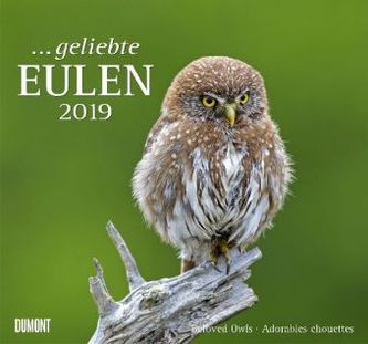 Geliebte Eulen 2019